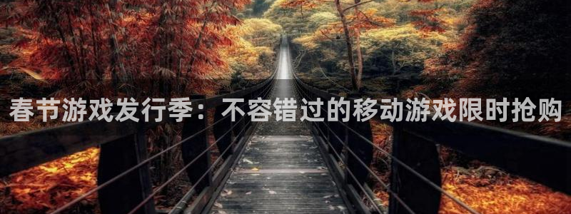 四川蓝狮科技有限公司怎么样