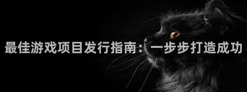 蓝狮子文化有什么游戏