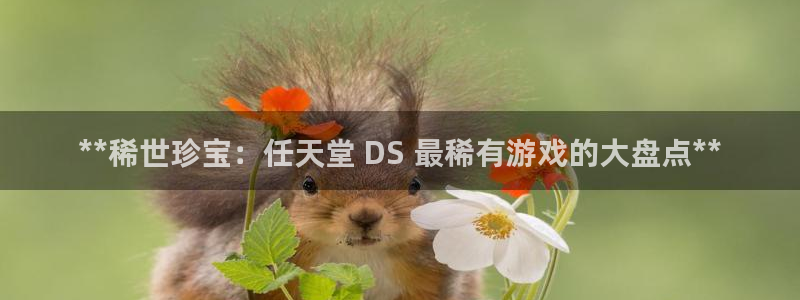 蓝狮在线注册登录官网：**稀世珍宝：任天堂 DS 最稀有游戏的大盘点**