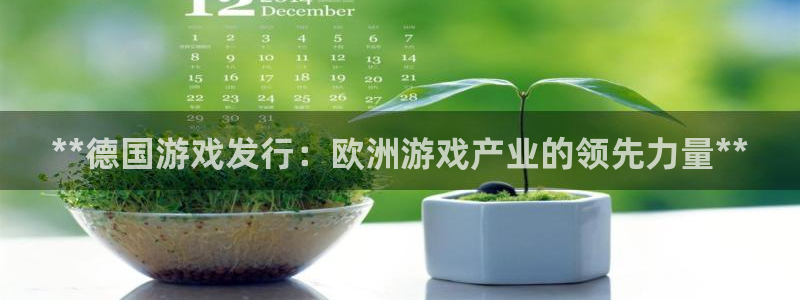 蓝狮集团有限公司