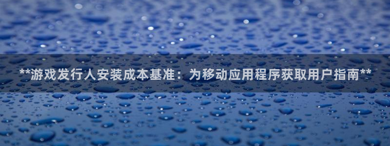 蓝狮在线解绑银行卡怎么弄：**游戏发行人安装成本基准：为移动应用程序获取用户指南**