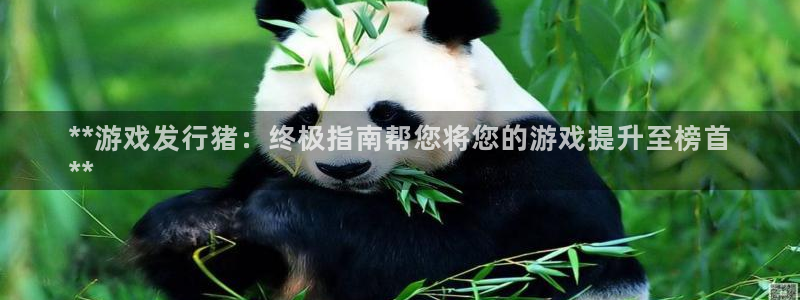 蓝狮lvnces官网：**游戏发行猪：终极指南帮您将您的游戏提升至榜首
**