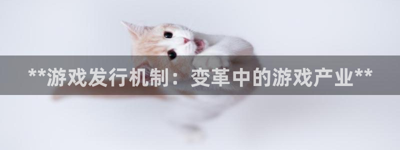 蓝狮多少钱：**游戏发行机制：变革中的游戏产业**