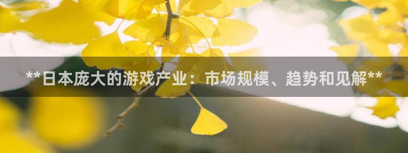 蓝狮图片：**日本庞大的游戏产业：市场规模、趋势和见解**