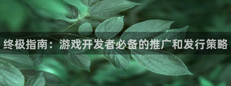 苏州蓝狮网络科技有限公司：终极指南：游戏开发者必备的推广和发行策略