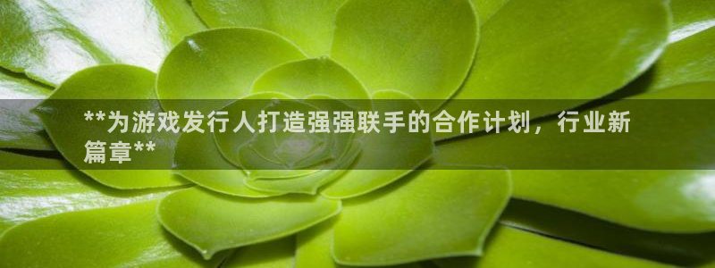 蓝狮在线招商主管：**为游戏发行人打造强强联手的合作计划，行业新
篇章**