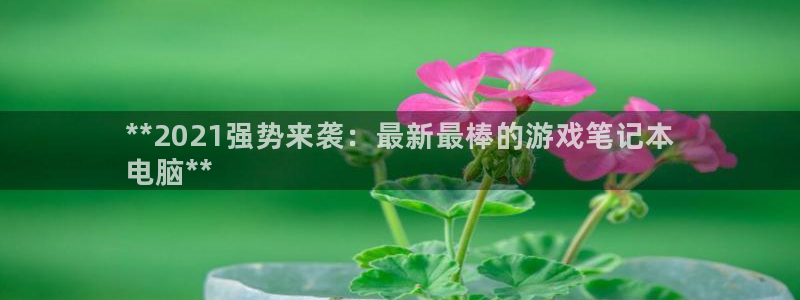 长沙蓝狮子电子商务有限公司：**2021强势来袭：最新最棒的游戏笔记本
电脑**