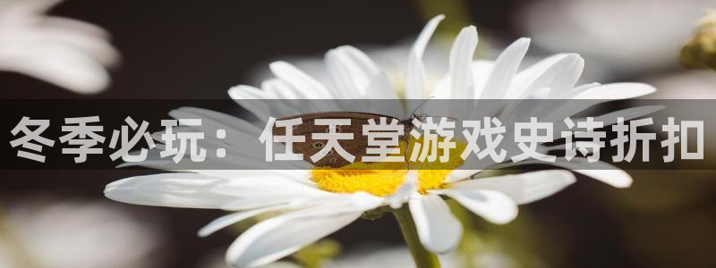 蓝狮子财经图书