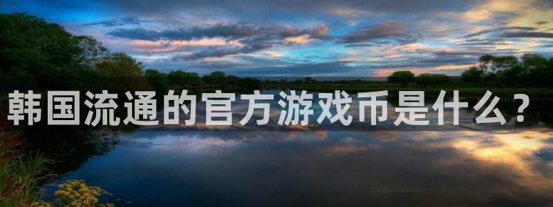 我要看蓝狮：韩国流通的官方游戏币是什么？