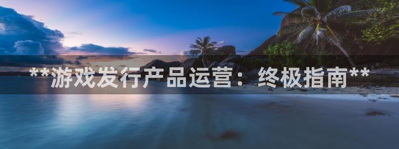 蓝狮gs：**游戏发行产品运营：终极指南**