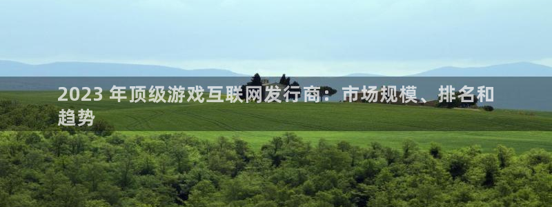 苏州蓝狮网络科技有限公司：2023 年顶级游戏互联网发行商：市场规模、排名和
趋势