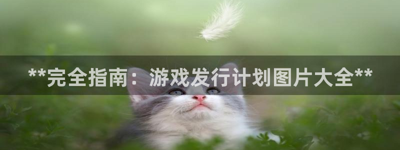 蓝狮子赚话费：**完全指南：游戏发行计划图片大全**