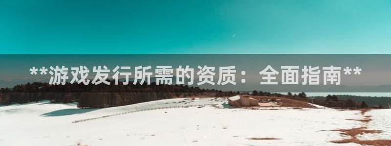 蓝狮子招聘：**游戏发行所需的资质：全面指南**