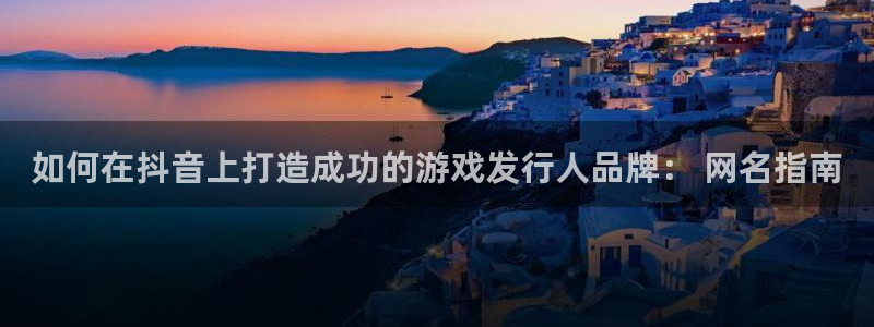 四川蓝狮科技有限公司：如何在抖音上打造成功的游戏发行人品牌： 网名指南