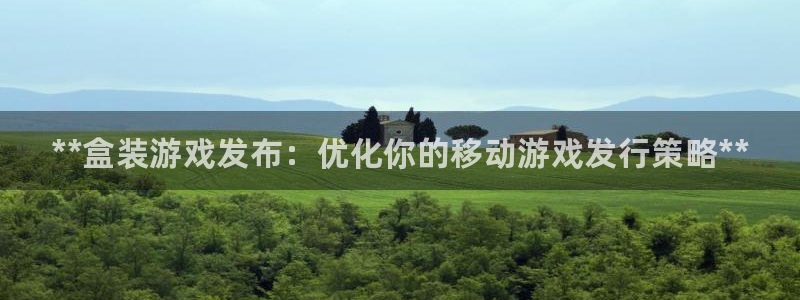 蓝狮科技：**盒装游戏发布：优化你的移动游戏发行策略**