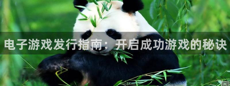 蓝狮在线注册地址在哪里查询：电子游戏发行指南：开启成功游戏的秘诀