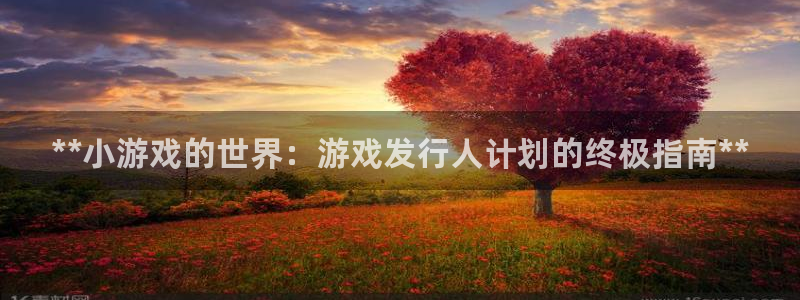 深圳蓝狮电商：**小游戏的世界：游戏发行人计划的终极指南**