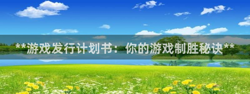 蓝狮服装：**游戏发行计划书：你的游戏制胜秘诀**