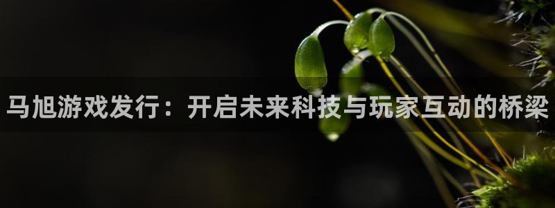 蓝狮涂料(北京)有限公司：马旭游戏发行：开启未来科技与玩家互动的桥梁
