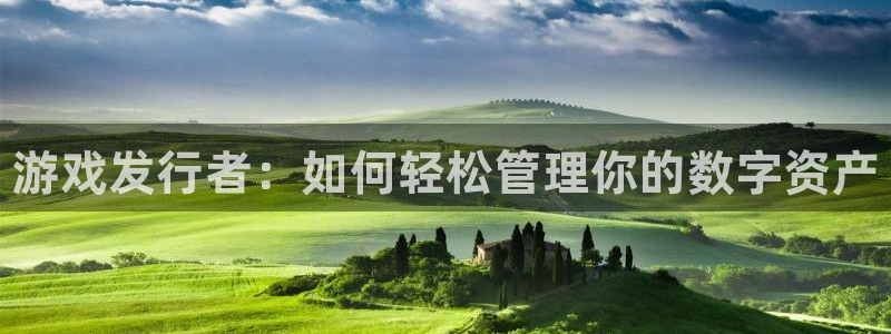 蓝狮子经理人：游戏发行者：如何轻松管理你的数字资产