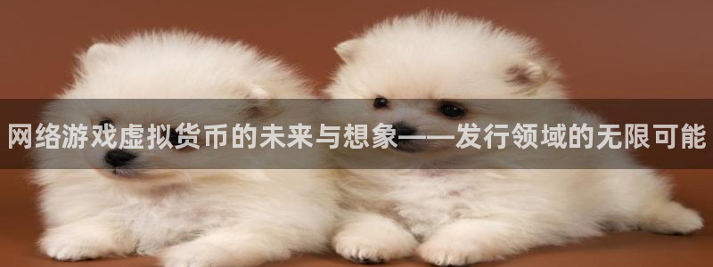 广东蓝狮电子科技有限公司 联系电话：网络游戏虚拟货币的未来与想象——发行领域的无限可能