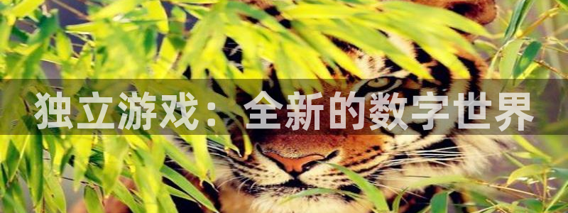 蓝狮集团董事长刘一辰简历