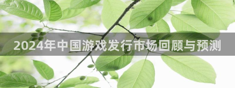 蓝狮子文化创意做什么的