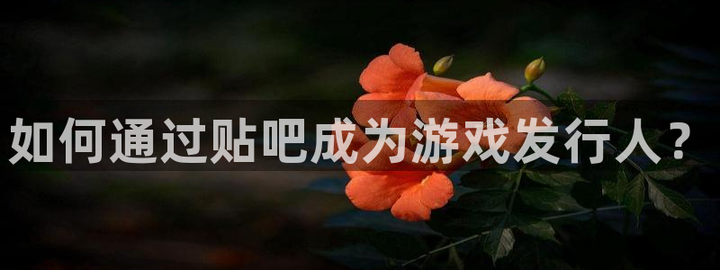 蓝狮娱乐测速官网