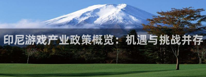 蓝狮集团品牌策划机构