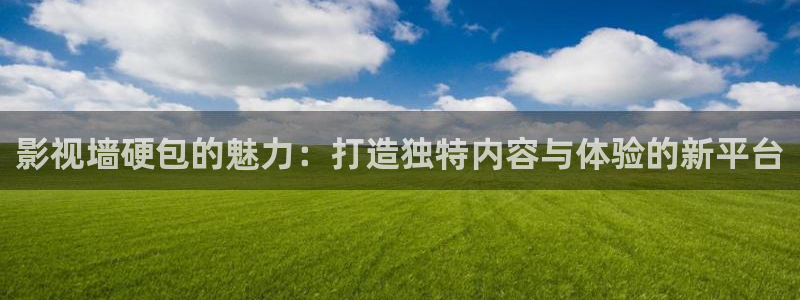 远古高清天龙影院：影视墙硬包的魅力：打造独特内容与体验的新平台