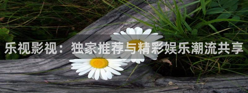天龙影院在线免费：乐视影视：独家推荐与精彩娱乐潮流共享