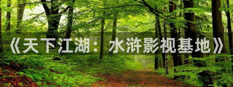 天龙影院2024：《天下江湖：水浒影视基地》