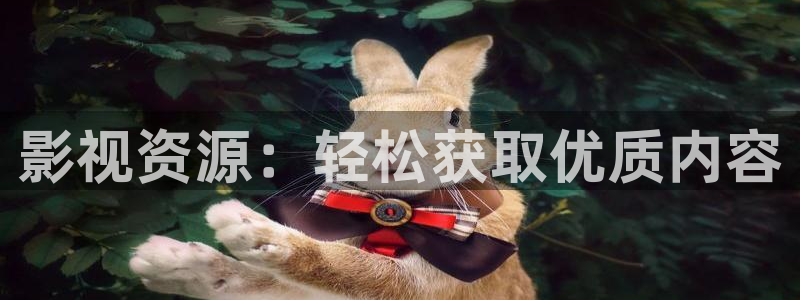 天龙东风：影视资源：轻松获取优质内容
