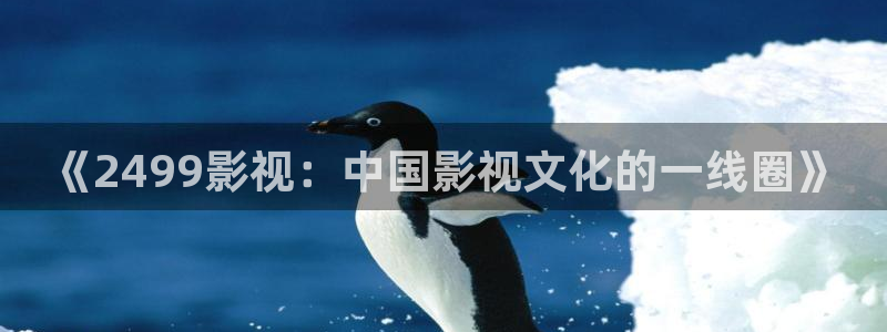 天龙家庭影院：《2499影视：中国影视文化的一线圈》