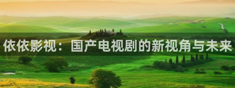 天龙影院电视剧场：依依影视：国产电视剧的新视角与未来