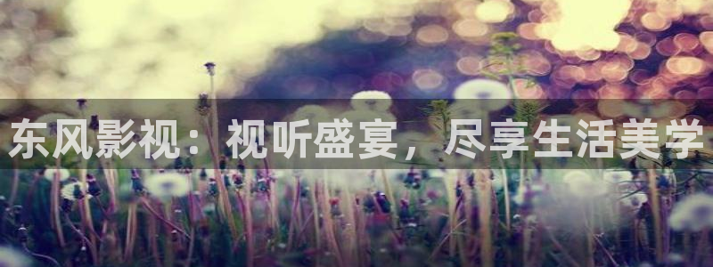 天龙电影院官网：东风影视：视听盛宴，尽享生活美学