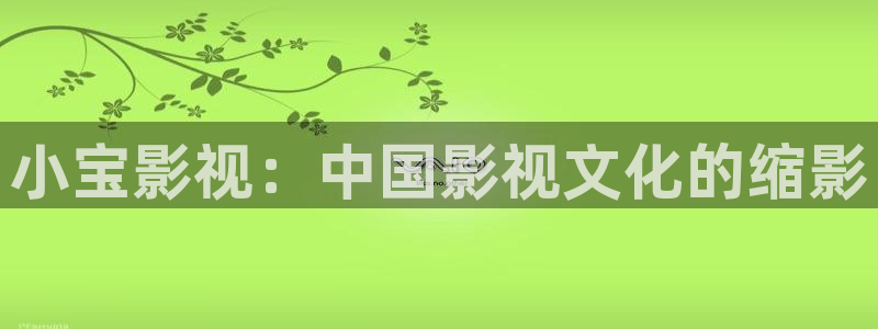 天龙影院远古电影在线观看：小宝影视：中国影视文化的缩影