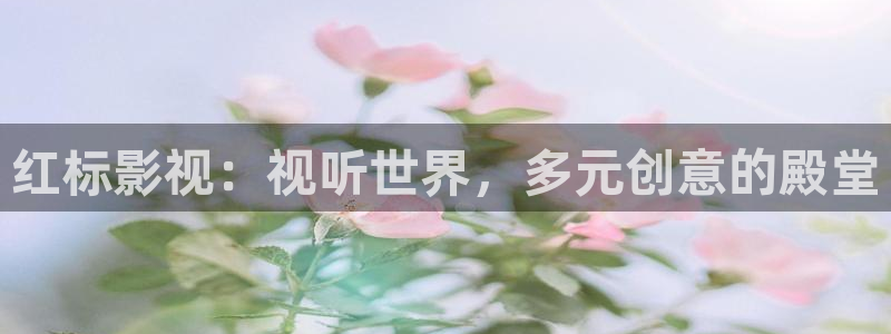 家庭影院 denon 天龙：红标影视：视听世界，多元创意的殿堂