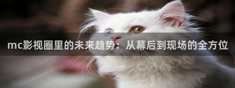 远古天龙免费高清影院：mc影视圈里的未来趋势：从幕后到现场的全方位