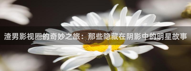 天龙影院远古电影首官网：渣男影视圈的奇妙之旅：那些隐藏在阴影中的明星故事
