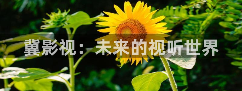 天龙影视官网：冀影视：未来的视听世界