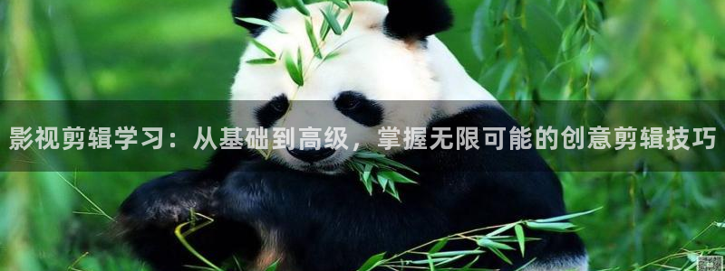 天龙影院伦理：影视剪辑学习：从基础到高级，掌握无限可能的创意剪辑技巧