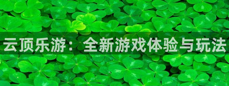 蓝狮子文化创意做什么的