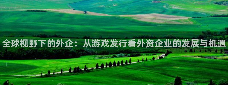 蓝狮集团董事长刘一辰简历