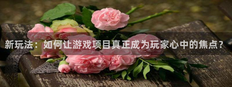 蓝狮在线客服服务：新玩法：如何让游戏项目真正成为玩家心中的焦点？