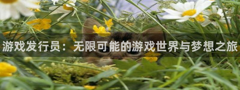 蓝狮子文化游戏