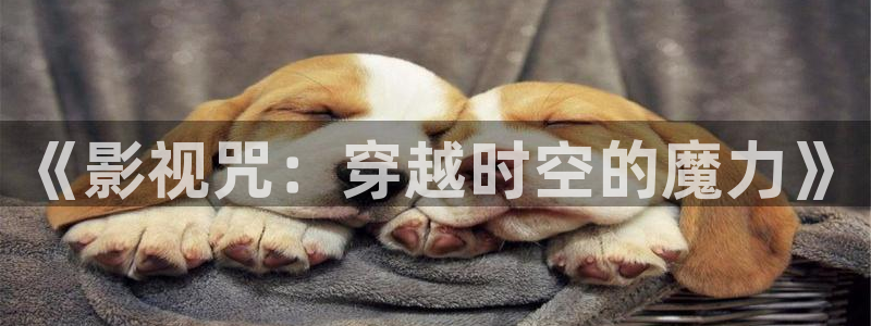 天龙影视播放器：《影视咒：穿越时空的魔力》